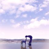 フォトグラファーmafin