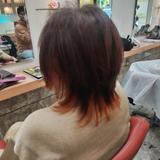 星華SEIKA
