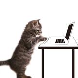 サムねこ｜動画制作フリーランス