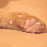 手紙屋こまち