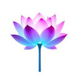 ここね　心音