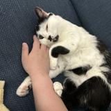 稜 リョウ