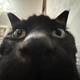 しろのみね