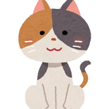 dev_mochineko