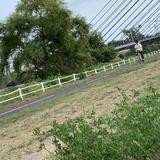 澤田けい
