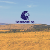 Tanzanite421