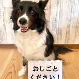た　ま