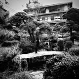 miyabi_mlabo