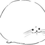ﾂｶﾁｬﾝ