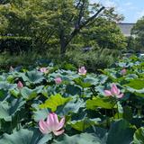 外部提出文書の最終チェック係