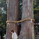 Bloom3588
