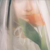 ito hayashimoto