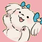 Saku_デザイナー・イラストレーター