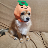 ルビーキララ