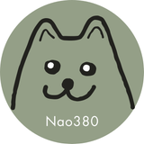Nao380