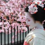 hime子