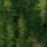meydy_o