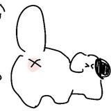 イヌチャン