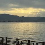 Rose_26