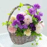 花城レイ　あなたは絶対大丈夫！