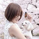 SAKURA｜SNS運用×動画×AI