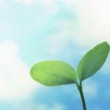 しあわせの種〜かず枝