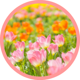 あお✿やさしく寄り添います
