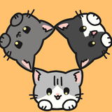 chun×chun