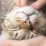 お話屋よっちゃん