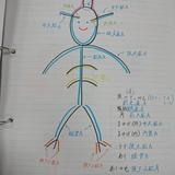 ちはや　生活期PT