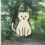 森ねこ