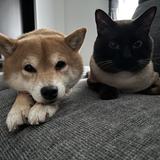 ※看護師みぃ
