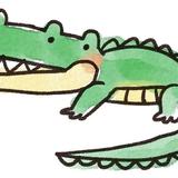 わにデザイン