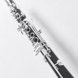 clarinet417