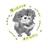 yukamurasame