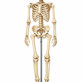 cndbbgj5y5