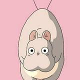 あおいるーむ