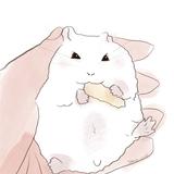 しろいあんこ