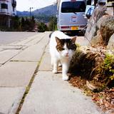 助産師きいろ