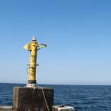 Tanaka_2403