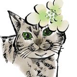 ヤブデマリ