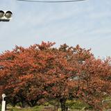 norihisa0328