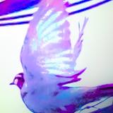 megamiphoto