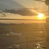しょくーん