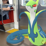 ランシン