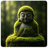 苔むす案内人
