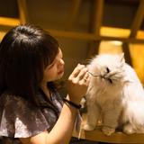 佐々木 優花