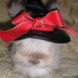 うさぎのチクチク工房