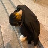 どうもたなか