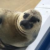 しんじ監督